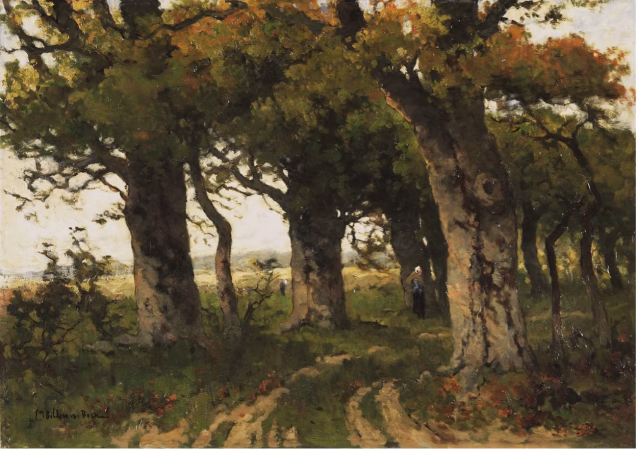 Het internationale landschap: schilderij van bosrijke wandeling met zonlicht tussen bomen, rust en natuur in 19de-eeuwse stijl