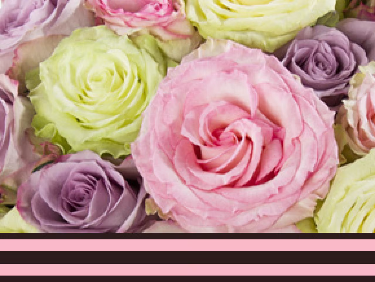 10 Rozenweetjes - close-up boeket roze paarse gele rozen met volle textuur en decoratieve strepen
