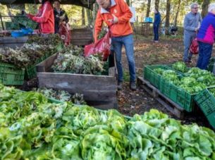 Plannen voor coöperatieve Herenboerderij krijgen vorm