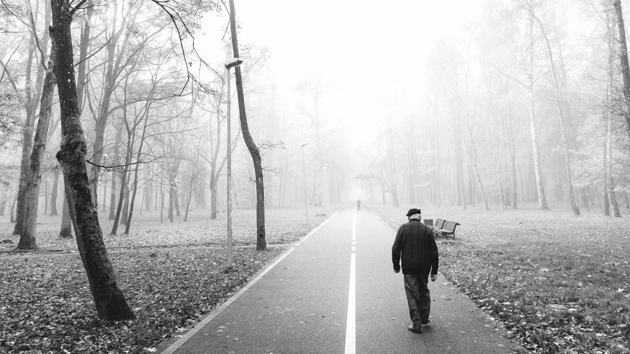 Zwart-witfoto van een rechte weg door bos met bankje en een figuur lopend in mist, rustige sfeer, thema De Ouwe Scheers