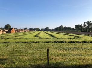 Van wie is het platteland?
