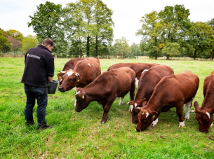 Kartrekkers Herenboeren zoeken gelijkgezinden 