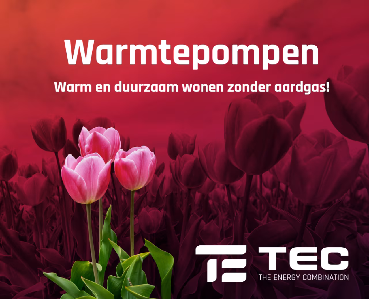 Warm en duurzaam wonen zonder aardgas! promotie warmtepompen tulpenveld met logo tec the energy combination