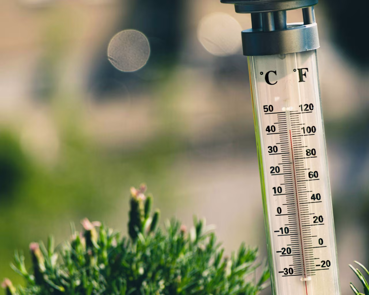 Close-up van buitenthermometer met rode indicator en graden Celsius en Fahrenheit, naast plant buiten in tuin