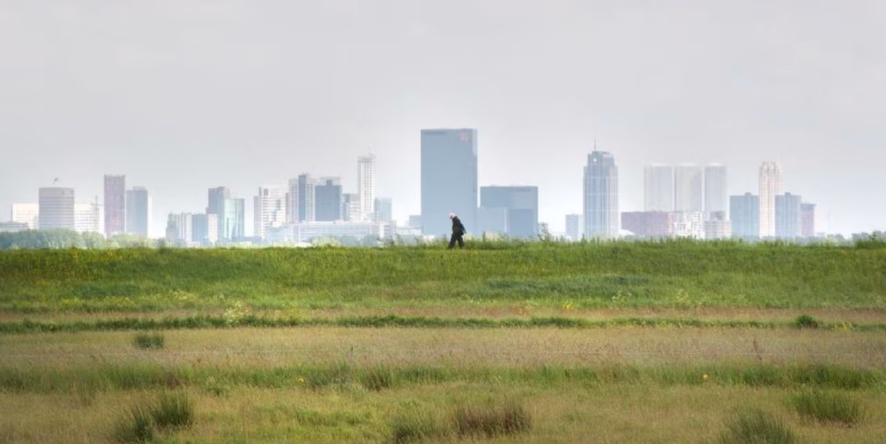 Is het wel zo idyllisch straks in BBB-land? Landschap met groen grasland en stedelijke skyline met wolkenkrabbers onder lichte lucht