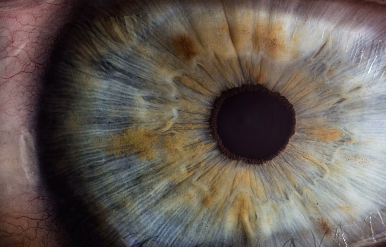 Close-up van oog met gedetailleerde iris en pupil, uniek patroon zichtbaar, Regionaal weekoverzicht 11-15 april 2022