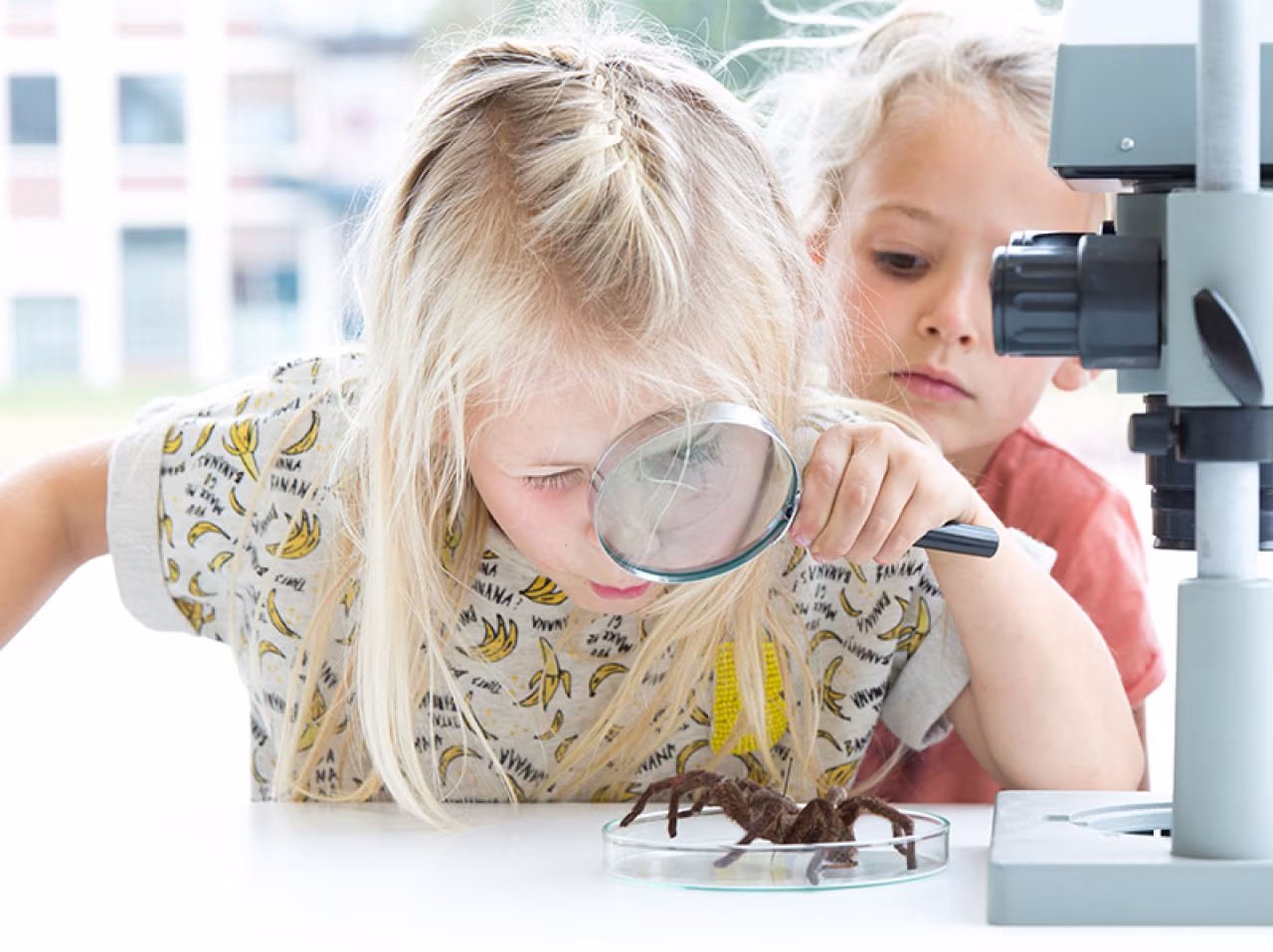 Meivakantie in museumfabriek grote familie ontdekkingsreis kinderen onderzoeken spin met vergrootglas en microscoop