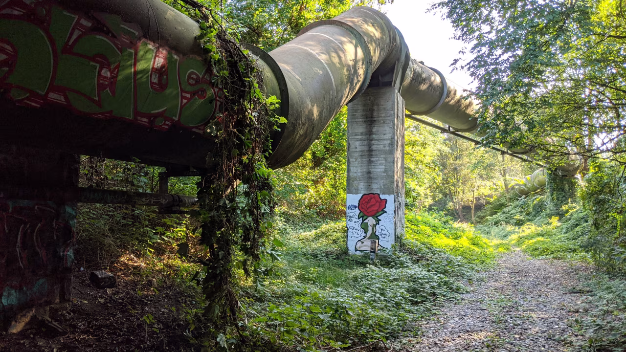 Industrieel buizensysteem door natuurlijk boslandschap met rode kop tekeningen op betonnen paal voor artikel Met deur open kom je niet van het gas en Poetin af