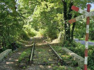 Spoor