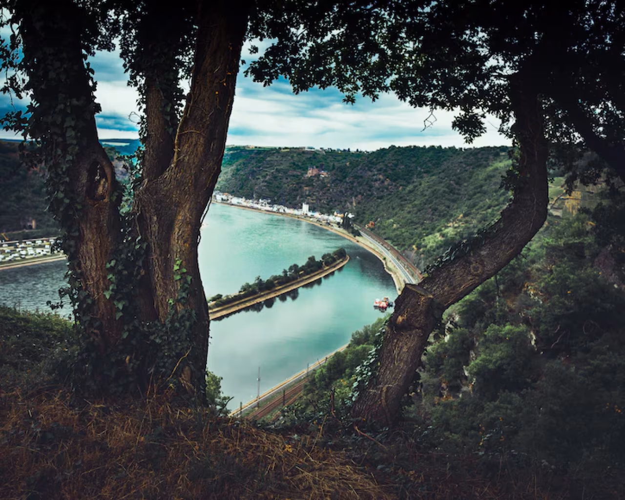 Landschap met rivier en bocht gezien vanaf hoger punt tussen boomstammen, groene heuvels, dorp en pad langs rivier. De verleidingen van Loreley en Lutterzand.