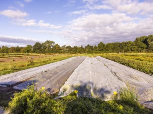 Herenboerderij op Zenderense Es stap dichterbij