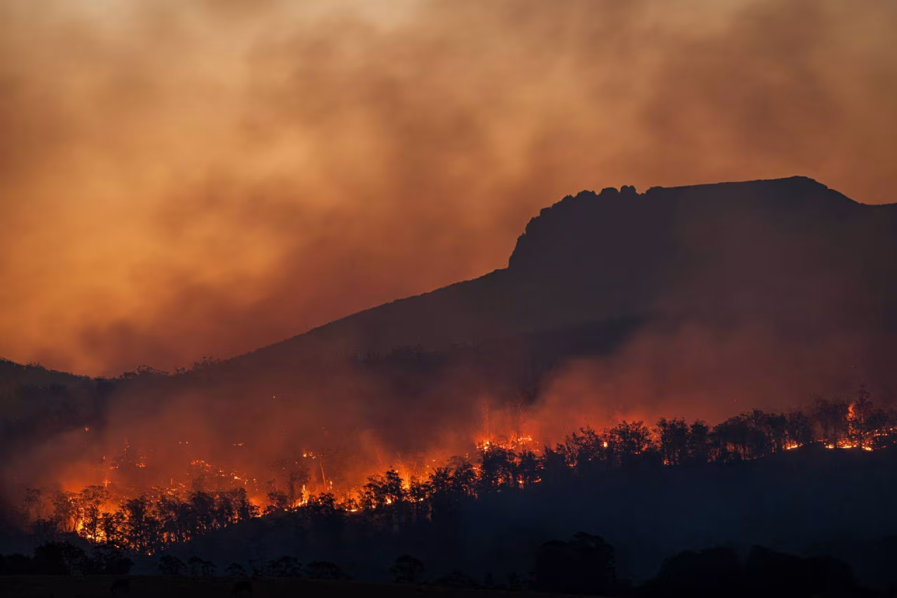 Bosbrand in heuvelachtig gebied bij schemering met vuurzee langs bomen en oranje-bruin gloed in lucht, nieuwsoverzicht week 11-17 aug 2025