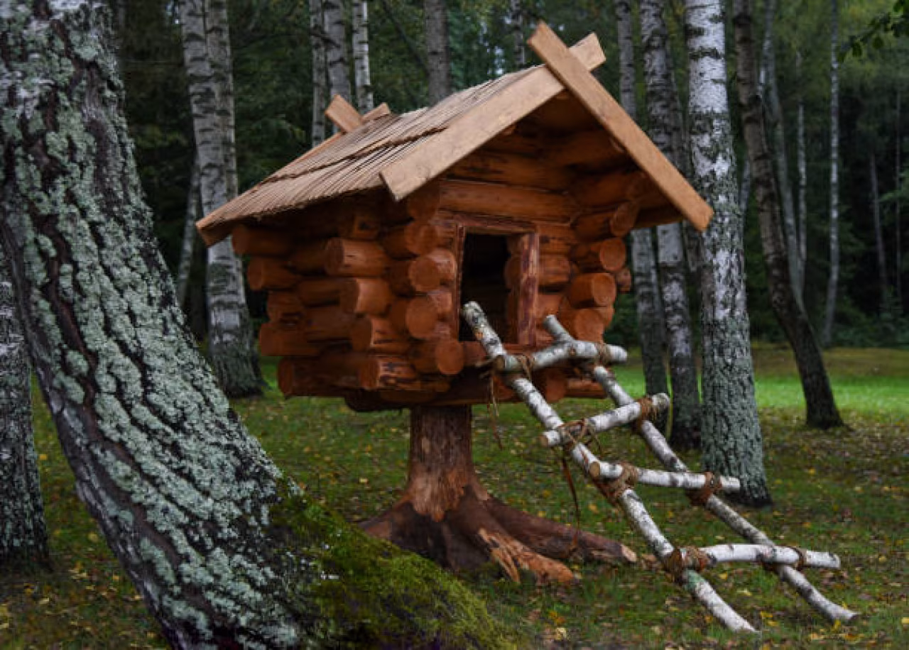 Ingezoomde buitenopname van een houten vogelkastje op een boomstam in berkenbos, thema vogeltrek vogelkastjegluren