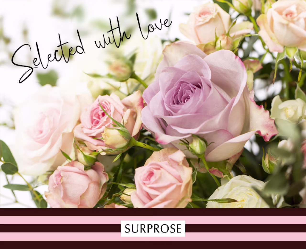 Surprose.nl online rozen bestellen met tekst selected with love en surprose op paars roze achtergrond