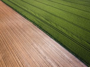 'Thoes' staat niet altijd vast