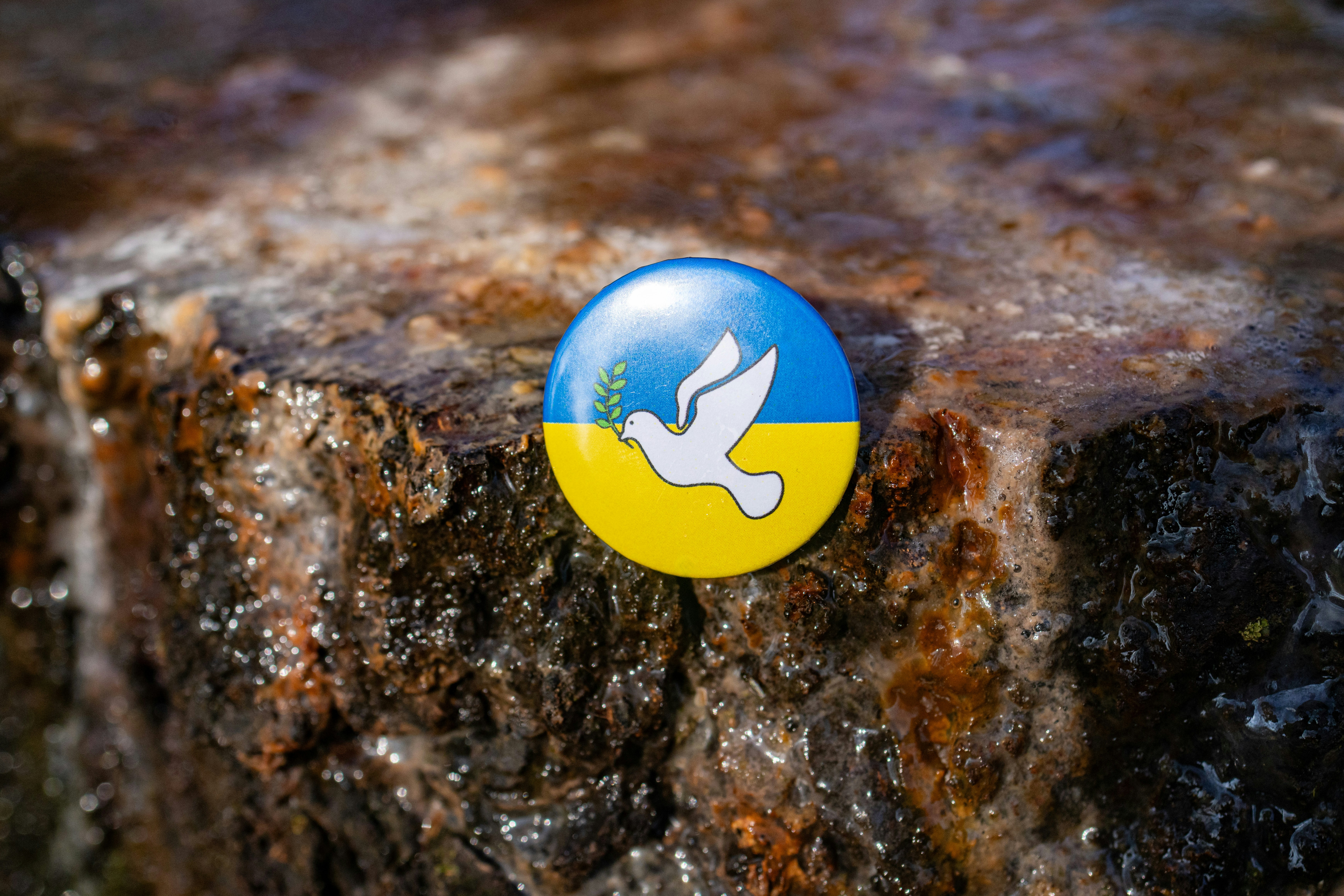 Button met vrede duif en olijftak op blauw-gele achtergrond symboliseert vrede en solidariteit met Oekraïne, oorlog in Oekraïne 24-30 juni 2024